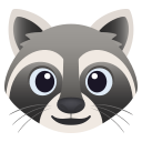 🦝