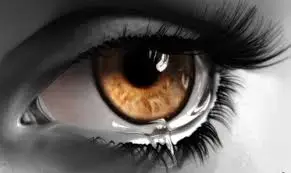 images-13.webp