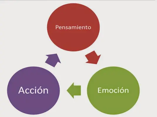 Ciclo pensamiento accion emocion.webp