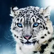 images - 2025-03-18T162833.481.webp