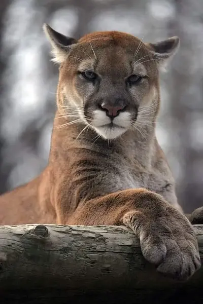 FB_IMG_1742443347662.webp