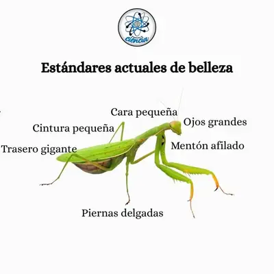 FB_IMG_1743745261608.webp