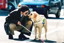 images - 2025-04-26T002435.252.webp