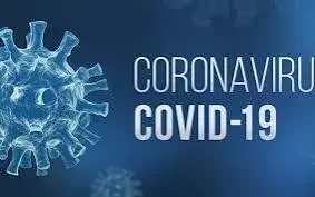 descarga - 2025-05-04T055052.300.webp