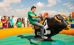 images - 2025-05-19T220201.035.webp