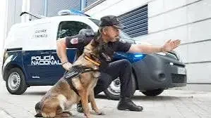 images - 2025-05-24T221245.885.webp