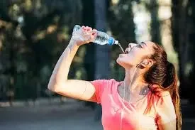 descarga - 2025-05-29T105808.979.webp