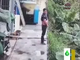 descarga - 2025-05-31T042229.363.webp