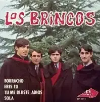 descarga - 2025-06-03T043540.463.webp