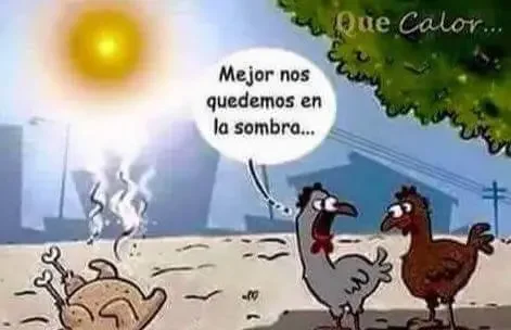 hace-calor-y-ola-de-calor-chiste-grafico-pollo-asado-top-humor-en-yeclaofertas-hoy.webp