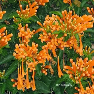 197d3ab26b6d2ecaacd43e079befc239.webp