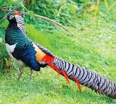 images (6).webp