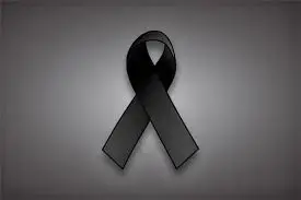 lazo-negro-de-luto-1.webp
