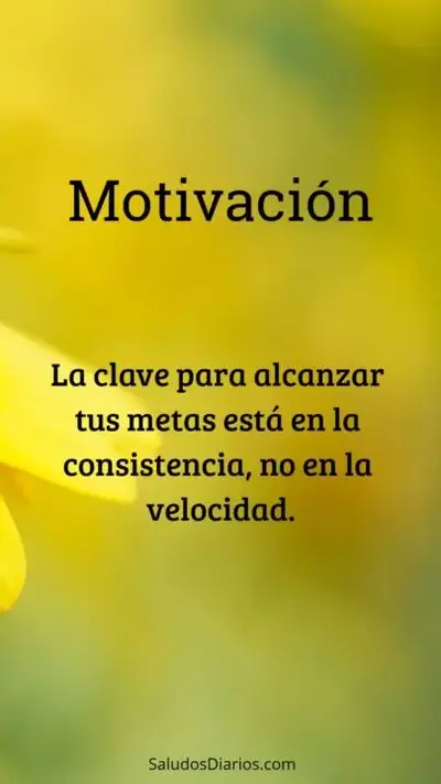 1706399108022.webp