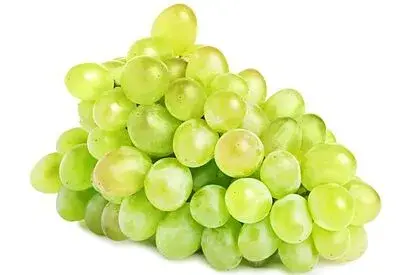 1711741335473.webp