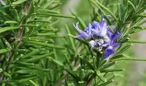 images (22).webp