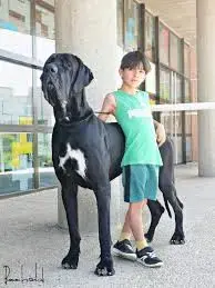 images - 2024-05-07T172157.976.webp