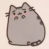 Kat