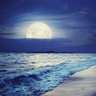 Moonlight