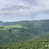 Belbdd