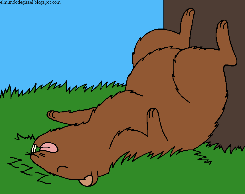 Marmota2.png