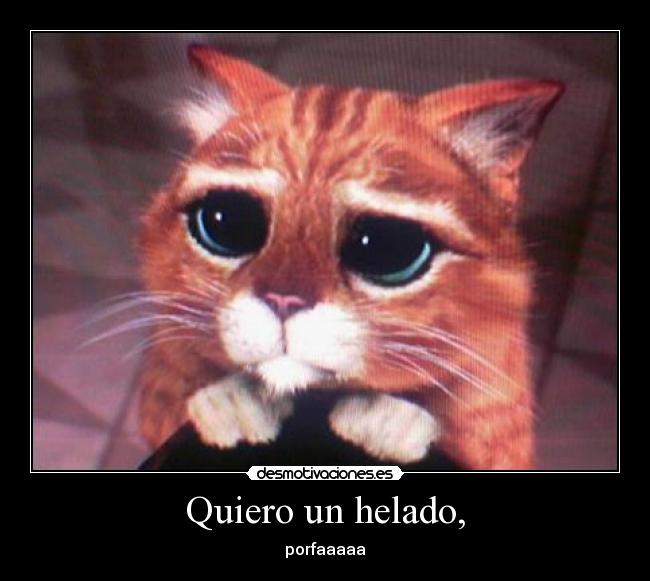gato1_3.jpg