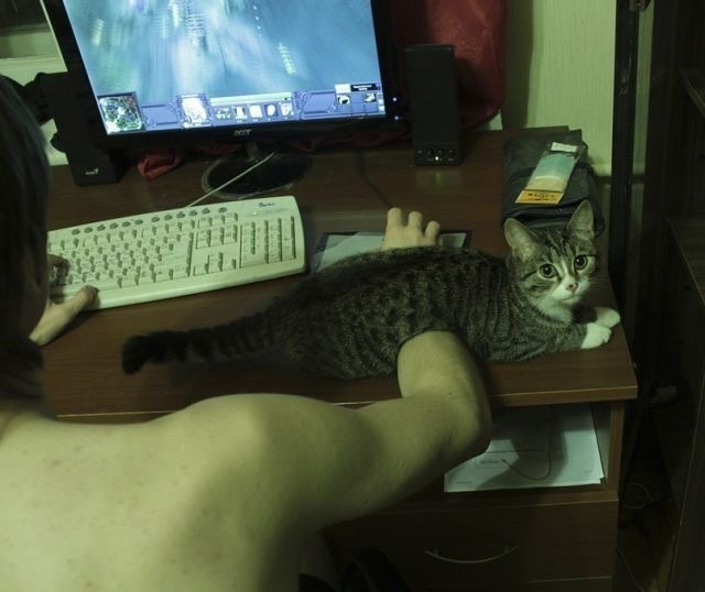tumblr_n8peatOaOG1qf24ngo4_1280.jpg