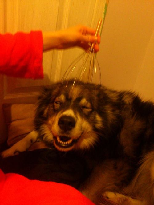 tumblr_mzk0l3O4jN1sjqlxio1_500.jpg